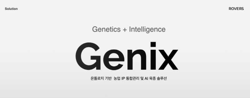 로버스(Rovers)